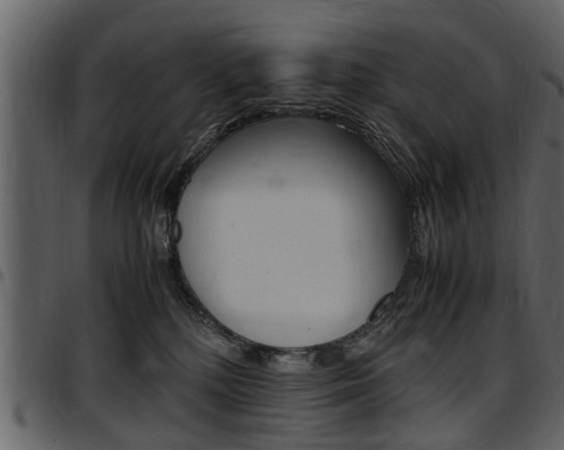 X0000097640232200802290830