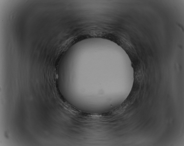 X0000097640233200802290830