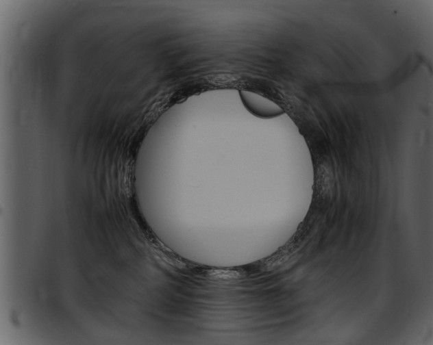 X0000097640234200802290830
