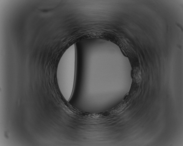 X0000097640235200802290830