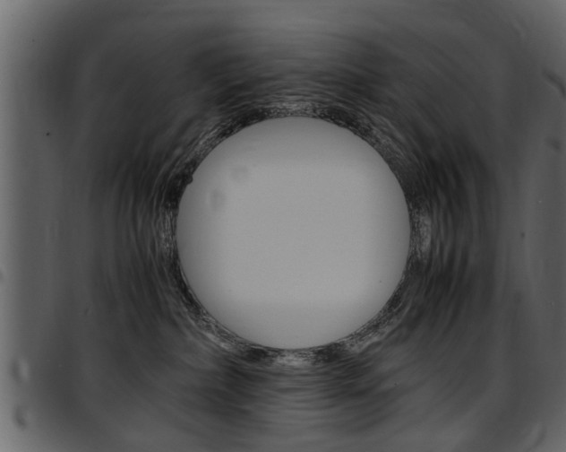 X0000097640236200802290830