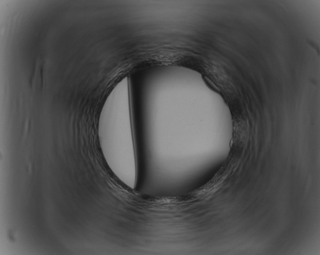 X0000097640237200802290830