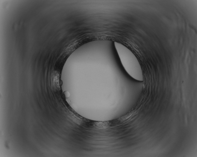 X0000097640238200802290830