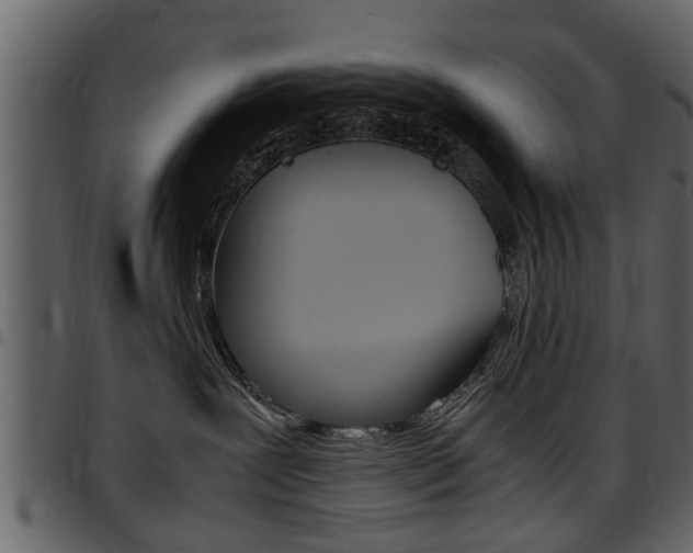 X0000097640239200802290830