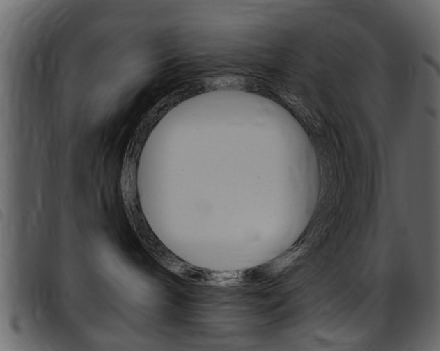 X0000097640240200802290830