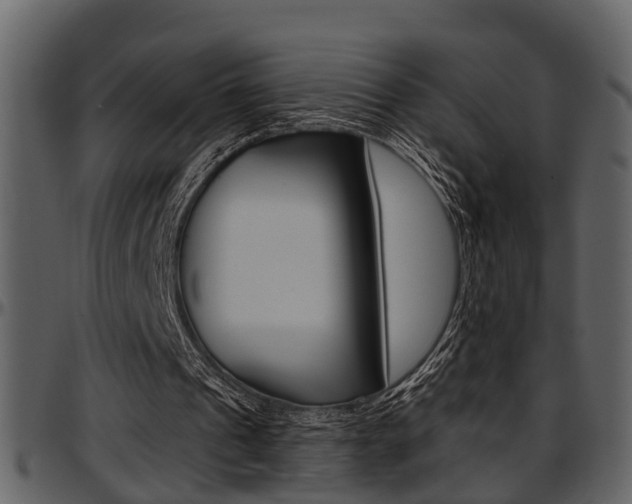 X0000097640241200802290829
