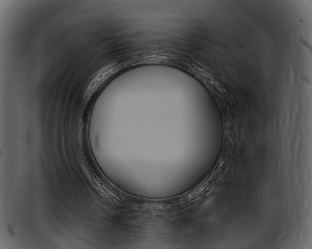 X0000097640242200802290829