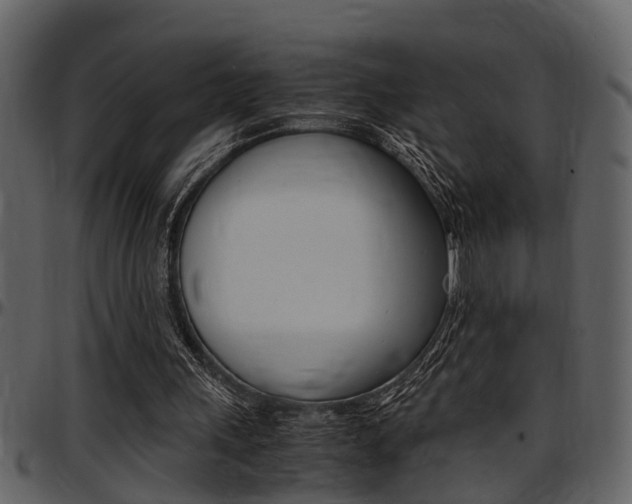 X0000097640243200802290829