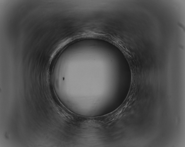 X0000097640244200802290829