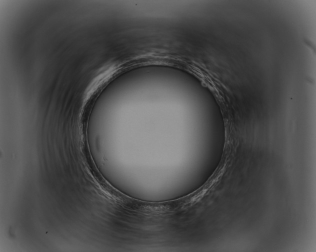 X0000097640245200802290829