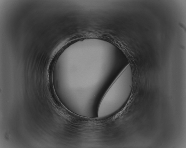 X0000097640246200802290829