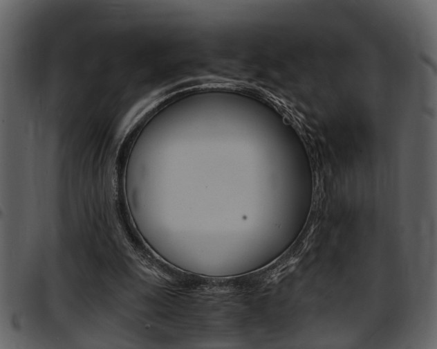 X0000097640247200802290829