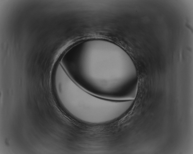 X0000097640248200802290829