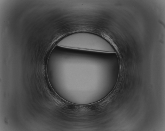 X0000097640249200802290829