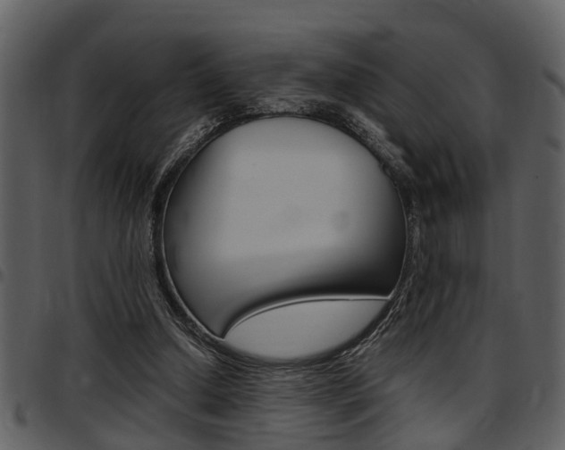 X0000097640250200802290829