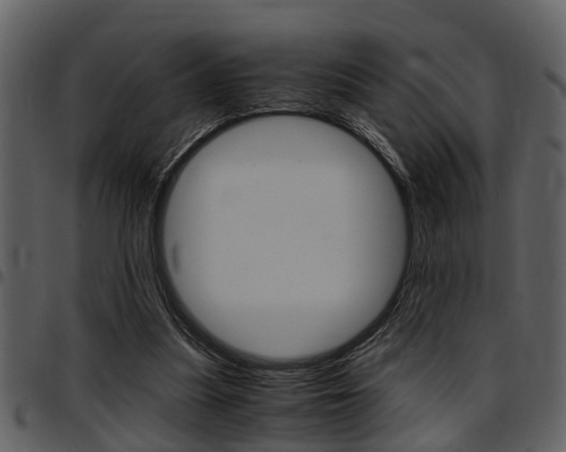 X0000097640251200802290829