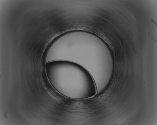 X0000097640252200802290829