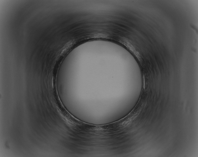 X0000097640253200802290829