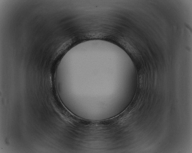 X0000097640254200802290829