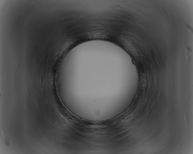 X0000097640255200802290829