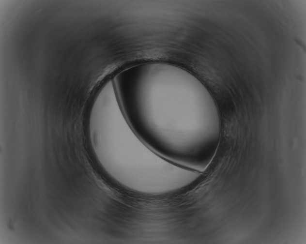 X0000097640256200802290829