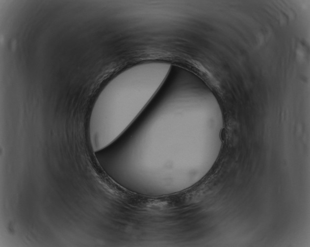 X0000097640257200802290829