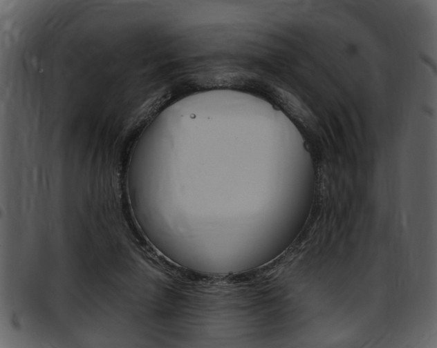 X0000097640258200802290829
