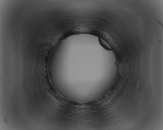 X0000097640259200802290829