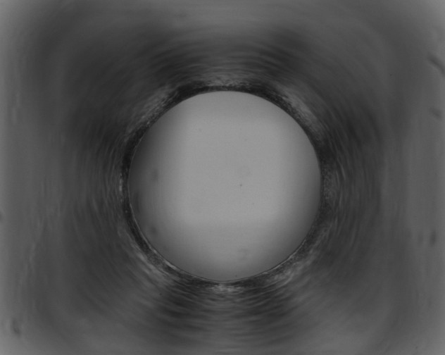X0000097640261200802290829