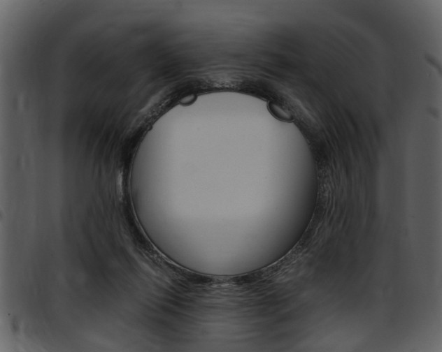 X0000097640262200802290829