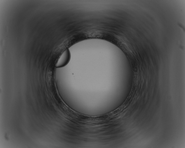 X0000097640263200802290829