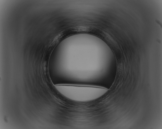 X0000097640264200802290829
