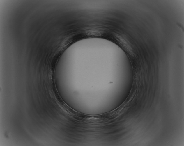 X0000097640265200802290829