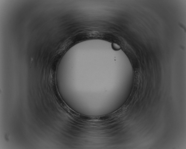 X0000097640266200802290829
