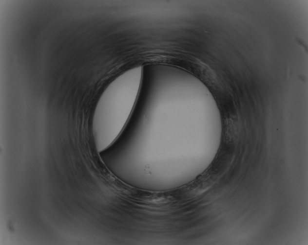 X0000097640267200802290829
