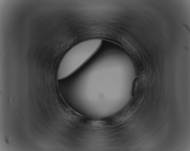 X0000097640268200802290829