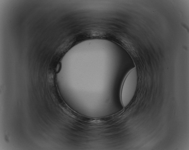 X0000097640269200802290830
