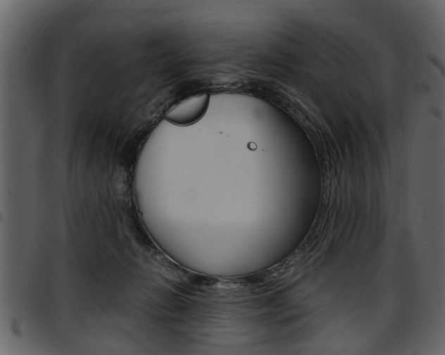 X0000097640270200802290830