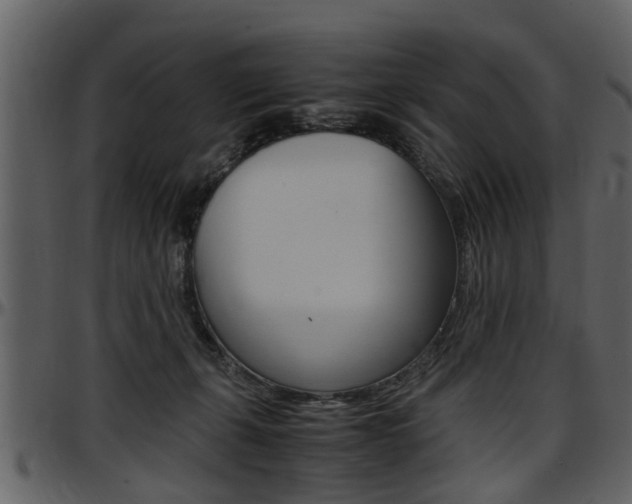 X0000097640271200802290830
