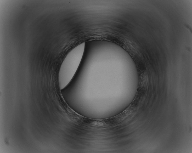 X0000097640272200802290830