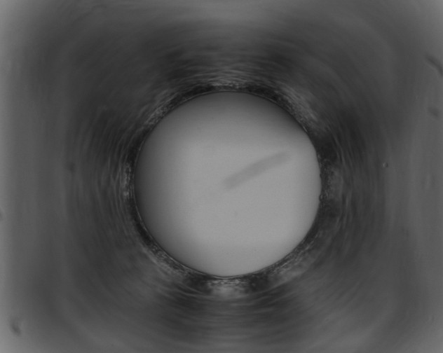 X0000097640273200802290830