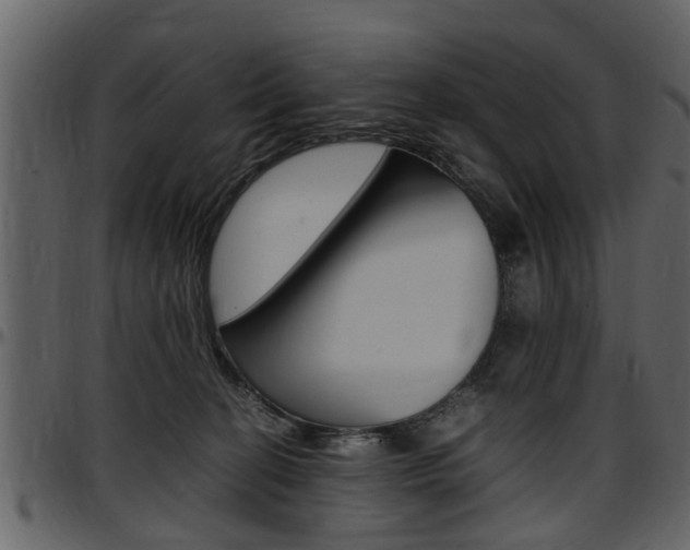 X0000097640274200802290830