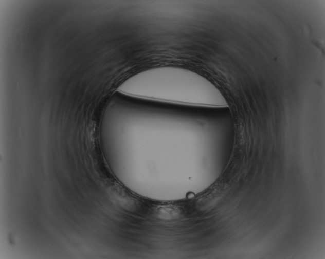 X0000097640275200802290830