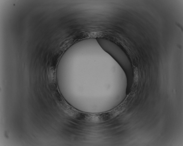 X0000097640276200802290830