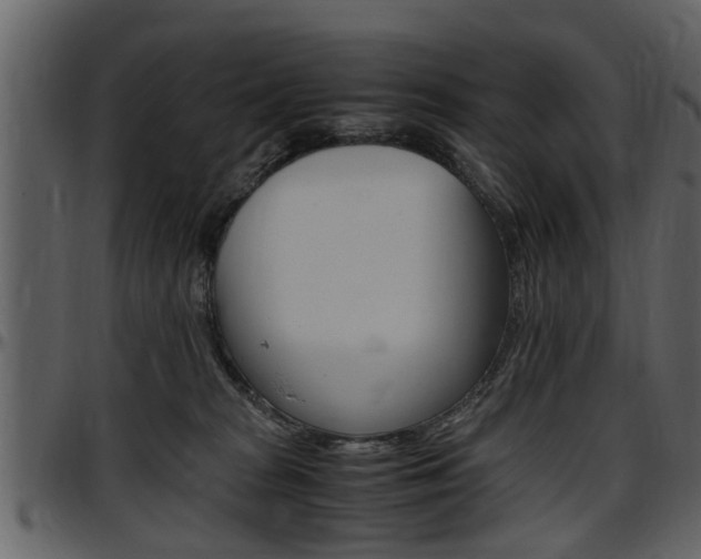 X0000097640277200802290830