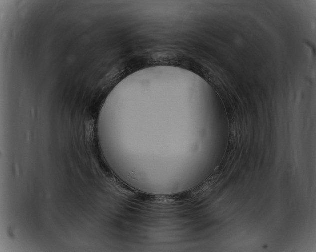 X0000097640278200802290830