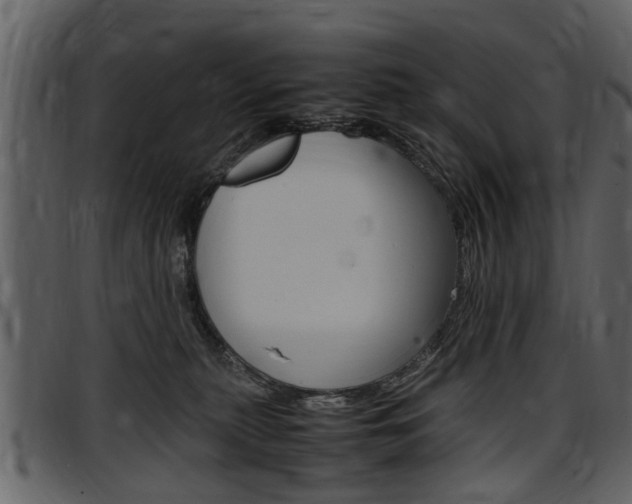X0000097640279200802290830