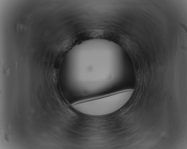 X0000097640280200802290830
