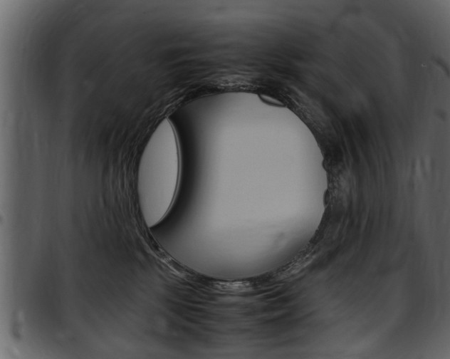 X0000097640281200802290830