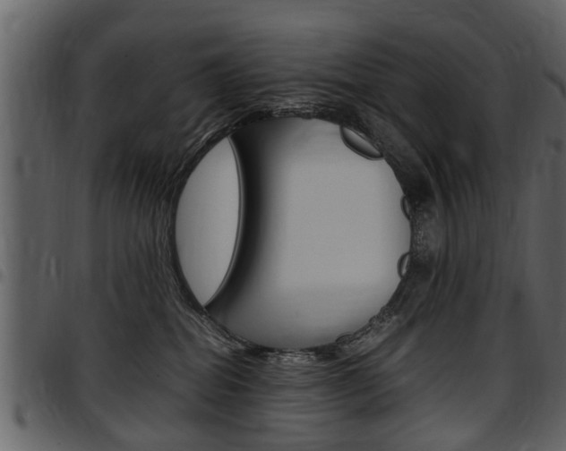 X0000097640282200802290830